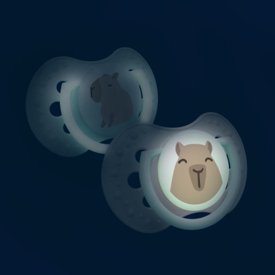 LOVI Dudlík silikonový dynamický CAPICHILL 0-6m 2ks kluk