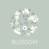 BLOSSOM